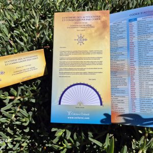 Synthèse des activations et combinaisons par codes (annexe) - Carnet et dépliant