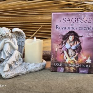 Oracle la Sagesse des Royaumes Cachés