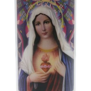 Neuvaine Sacré Coeur de Marie