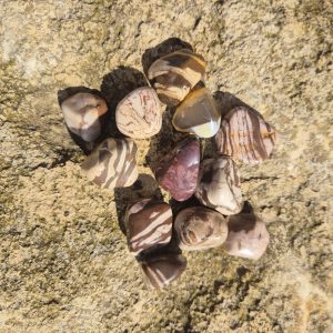 Pierre Roulée Jaspe Zébré