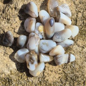 Pierre Roulée Opale