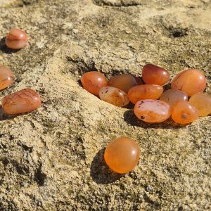 Pierre Roulée Cornaline