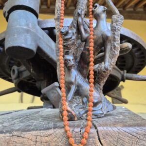 COLLIER MALA TIBÉTAIN en Rudraksha 109 perles